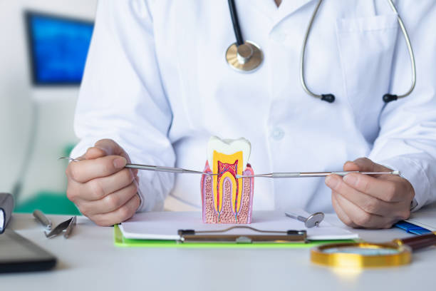 Best Emergency Wisdom Teeth Removal in New London, CT